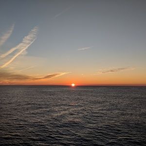 Meet your Posher, Chessie